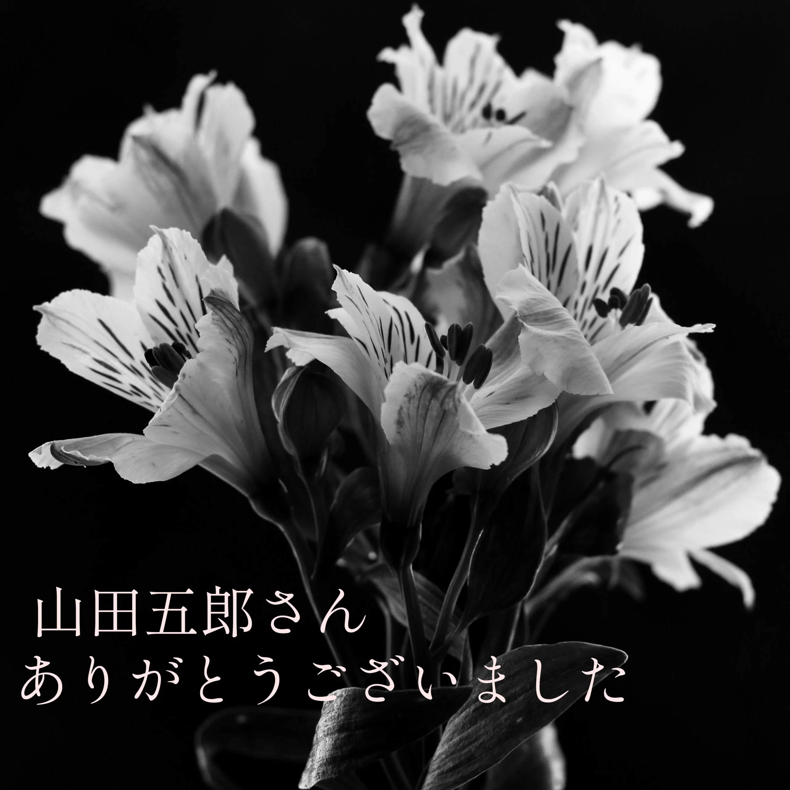 山田五郎さんが帰天されました